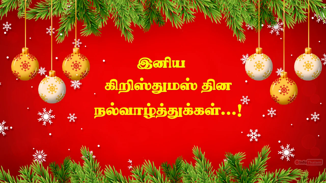 Christmas Wish in Tamil