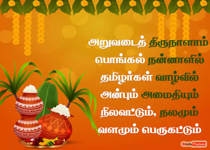 Pongal Wishes 2024 Greetings in Tamil..! இனிய தைப்பொங்கல்