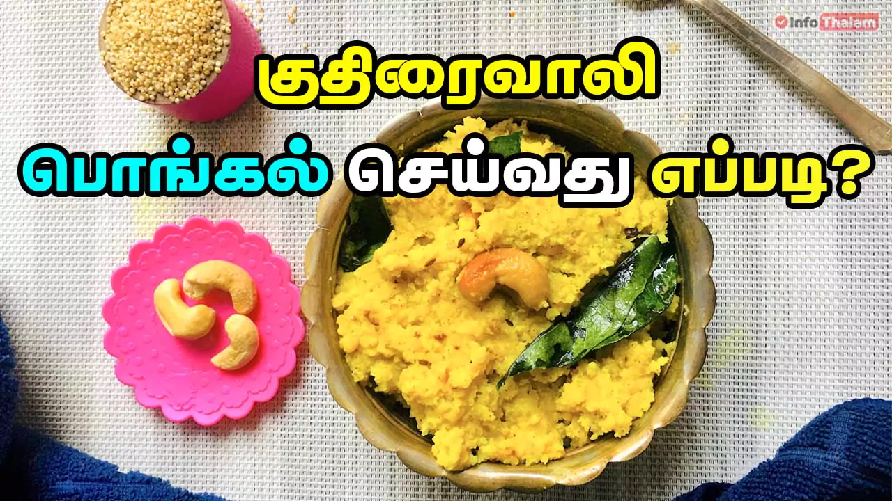 Kuthiraivali Pongal Recipe in Tamil